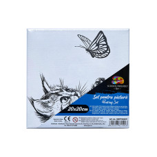 PANZA PREDESENATA PE SASIU 20*20CM PISICA SF ART PIGNA