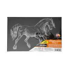 PANZA PREDESENATA PE SASIU NEAGRA 20*30CM CAL SF ART PIGNA