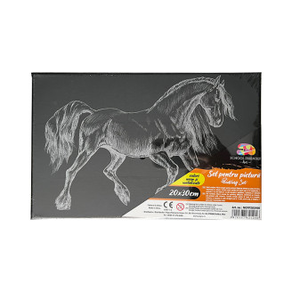 PANZA PREDESENATA PE SASIU NEAGRA 20*30CM CAL SF ART PIGNA