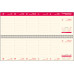 PLANNER BIROU 30 X 10 ALBASTRU 2025 HARTIE IVORY BREF EGO