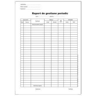 RAPORT DE GESTIUNE PERIODIC RAPORT DE GESTIUNE PERIODIC