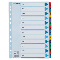 SEPARATOARE INDEX CARTON IAN-DEC MYLAR ESSELTE